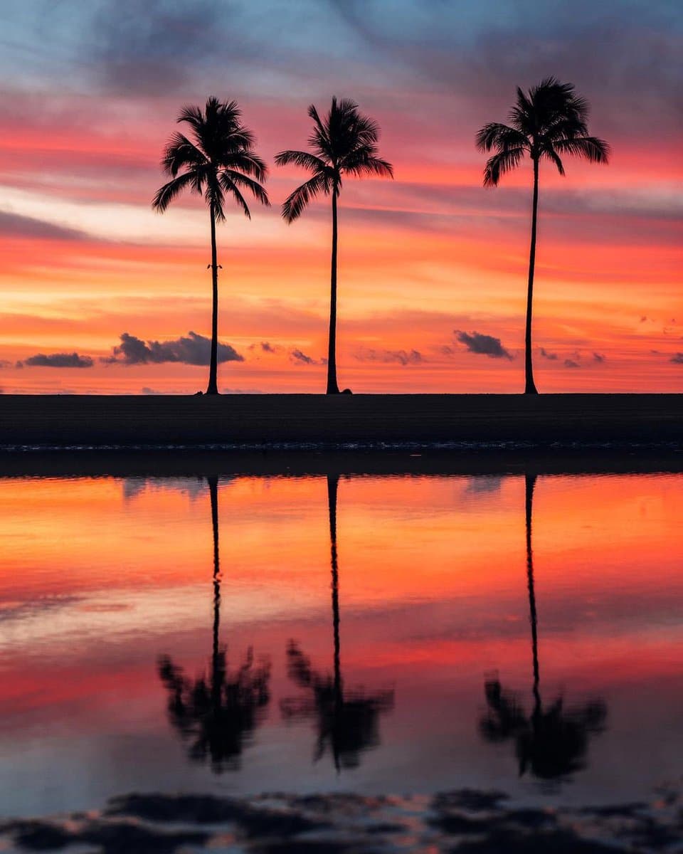 Sunset hues in Oahu, Hawaii. https://t.co/hlxx8SY3JT